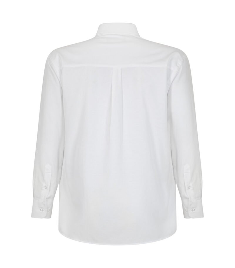 CAMISA OXFORD CLASSIC MANGA LARGA HOMBRE