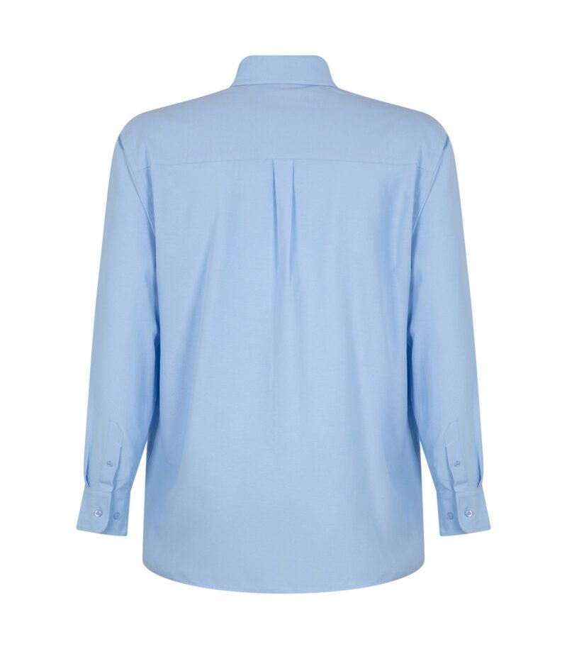 CAMISA OXFORD CLASSIC MANGA LARGA HOMBRE